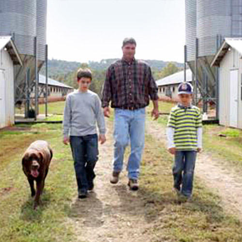 Springer Mountain Farms Chicken