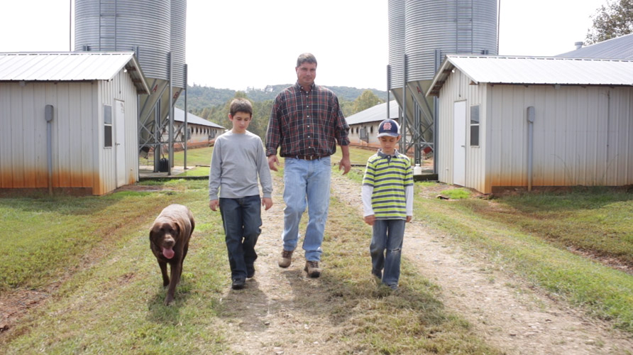Springer Mountain Farms Chicken